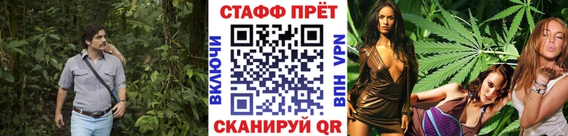 Все наркотики Шуя Экстази  МАРИХУАНА  Альфа ПВП  Меф мяу мяу  ГАШ 