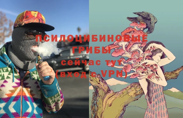 каннабис Аркадак