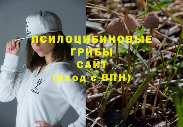 каннабис Аркадак