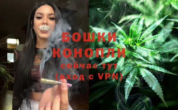 каннабис Аркадак